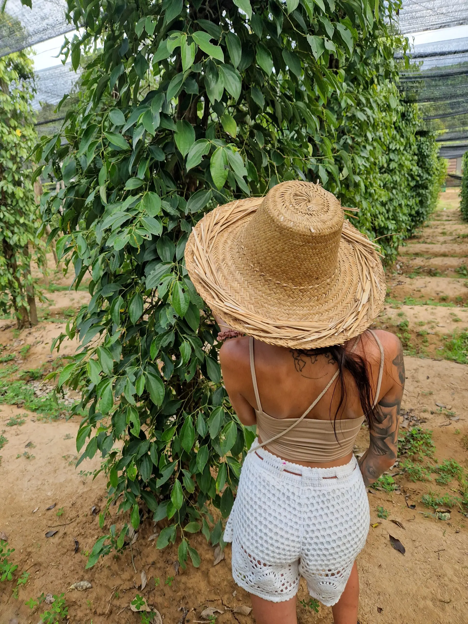 Kampot